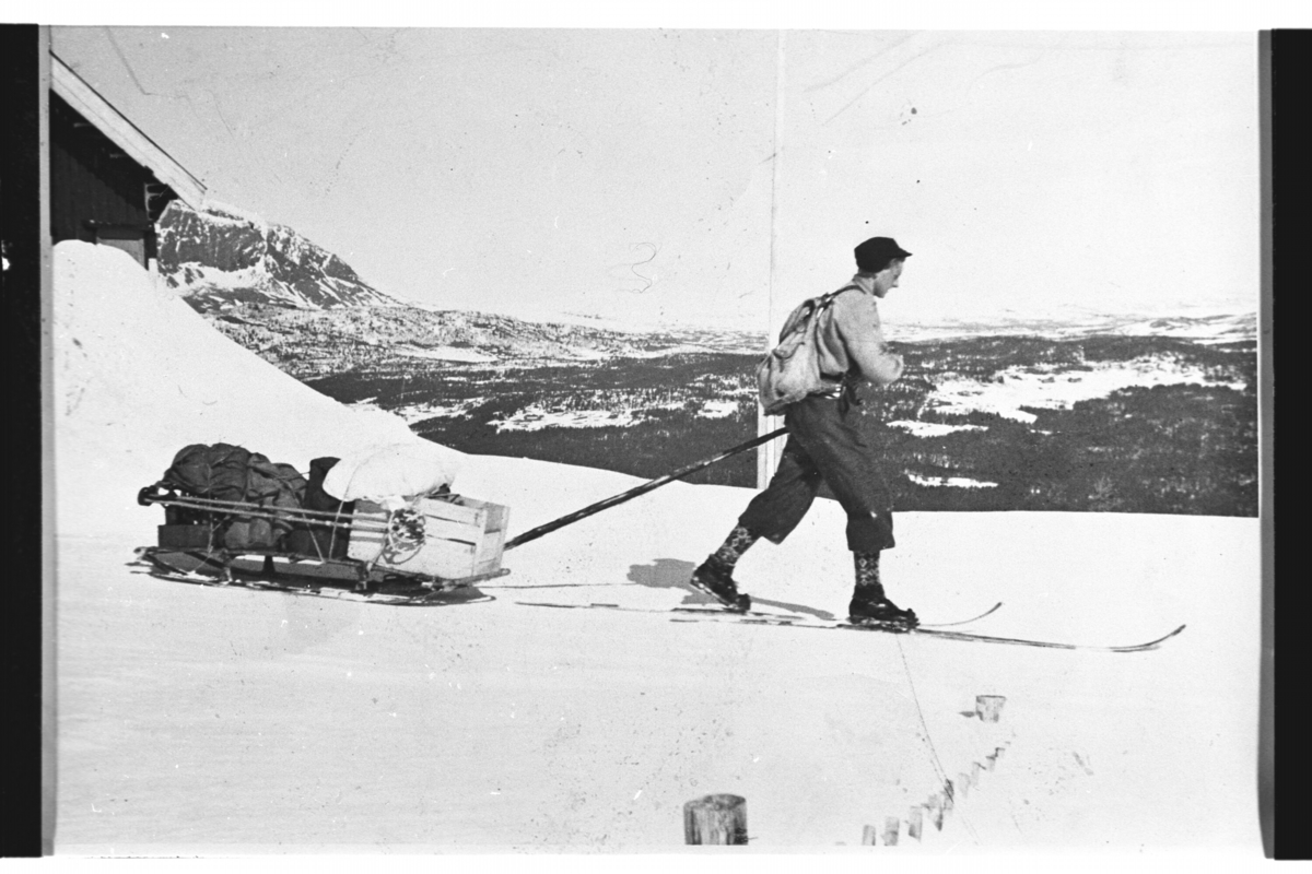 Knut Bråten drar lass frå folk som låg i dekning på Leinestølo 1945.