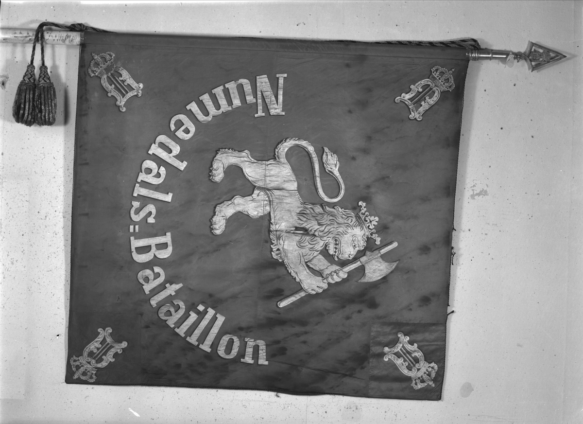2.Akershusiske infanteribrigade.O.II.
Rød silkefane. Midt på Den norske løve. I hjørnen O II monogram. 