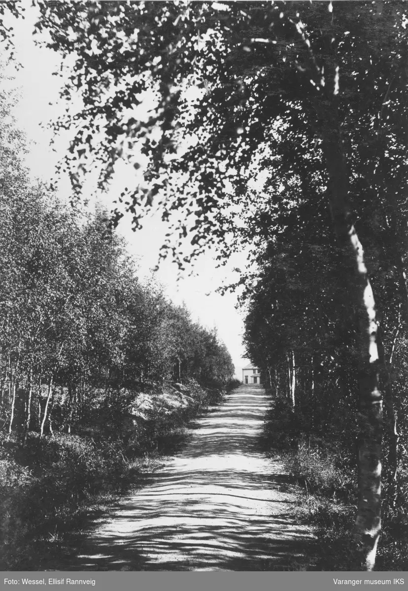 Prestegårdsalleen/Prestegårdsveien i Kirkenes.