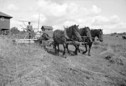 SELVBINDER, HOVIN ØSTRE, FURNES i Ringsaker, GNR. 250-1, HES