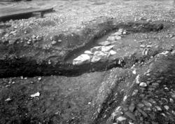 Arkeologiske undersøkelser i Hamar bispegård 1960. Område sy