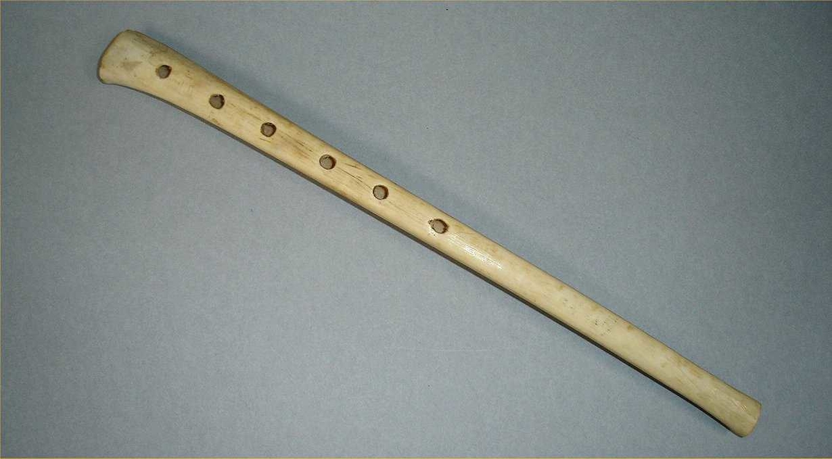 Enkel fløyte av ben, med seks fingerhull i front og et tommelhull.