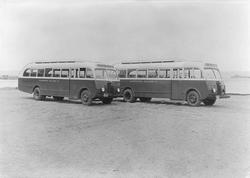 Mørelinjens nye rutebusser