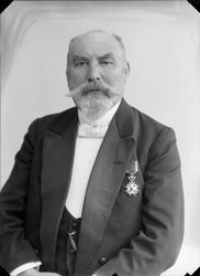 Grosserer Dyre Halse sen.