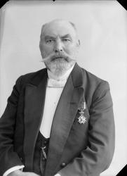 Grosserer Dyre Halse sen.