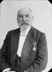 Grosserer Dyre Halse sen.