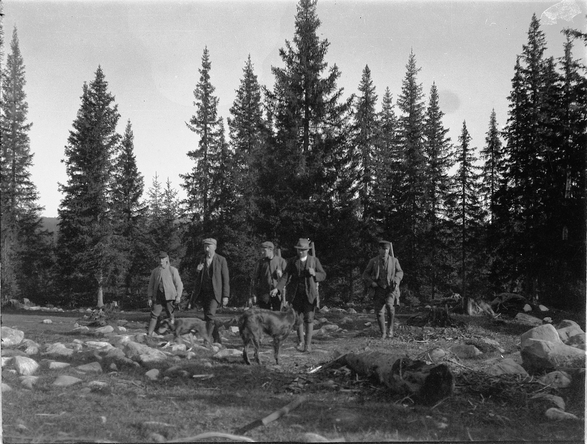 Fem menn på jakt i skogen med våpen og hunder. 