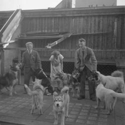 Leonard Sippala med hunden "Little Norway" på taket av Kredi