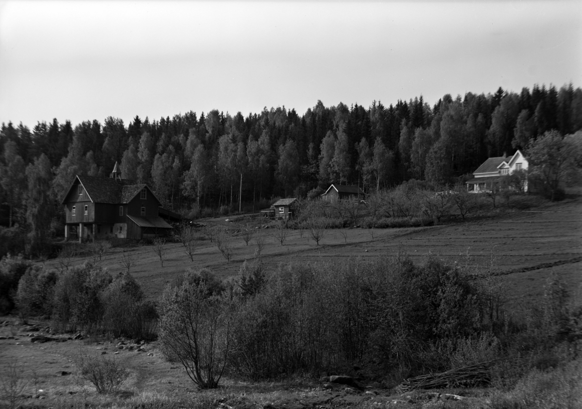 Eksteriør, småbruk, Østli, Helgøya.