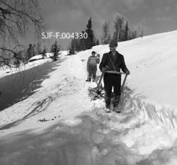 Vedkjøring med skikjelke i Vestre Gausdal.  Fotografiet er t