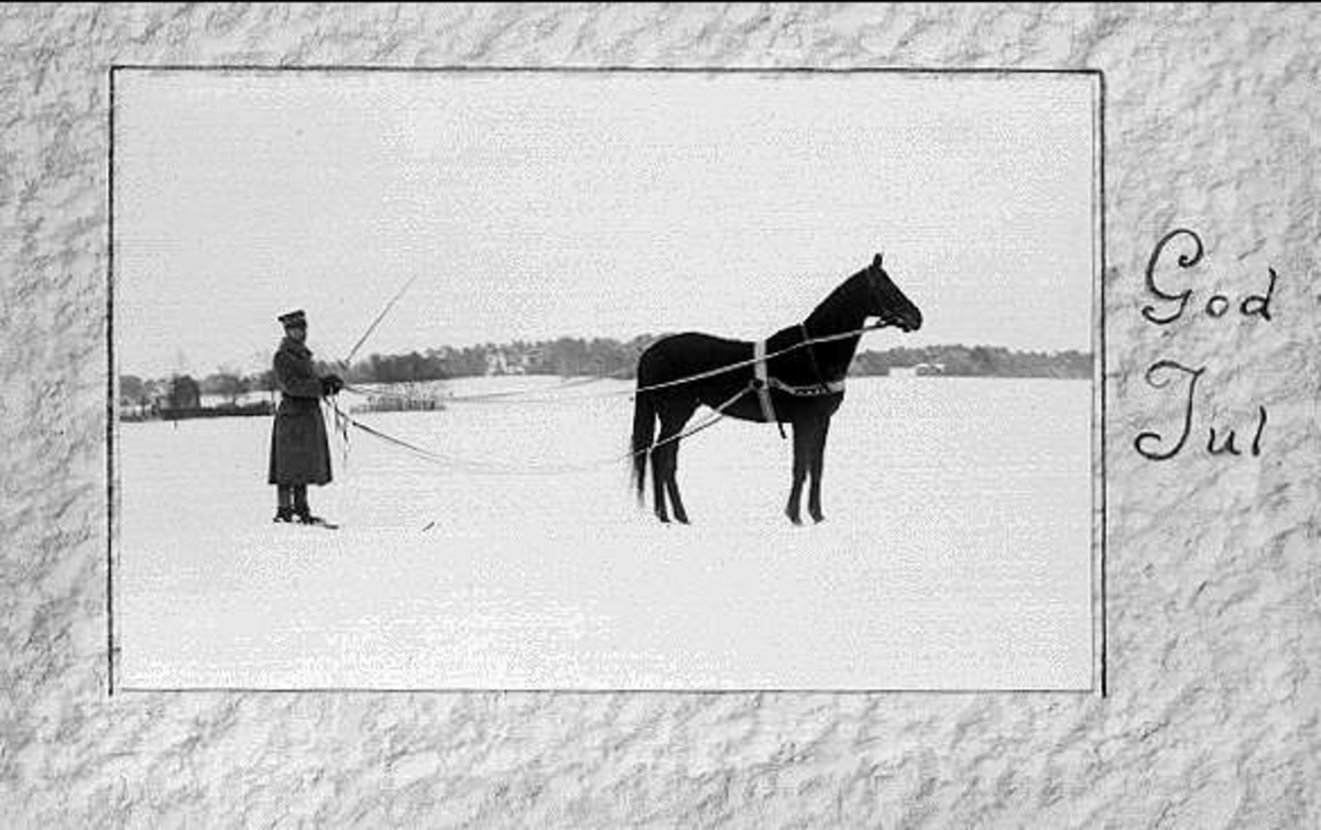 Löjtnant Sven von Essen utövar tolkning, skidkörning med tjänstehästen/tävlingshästen Flanagan.