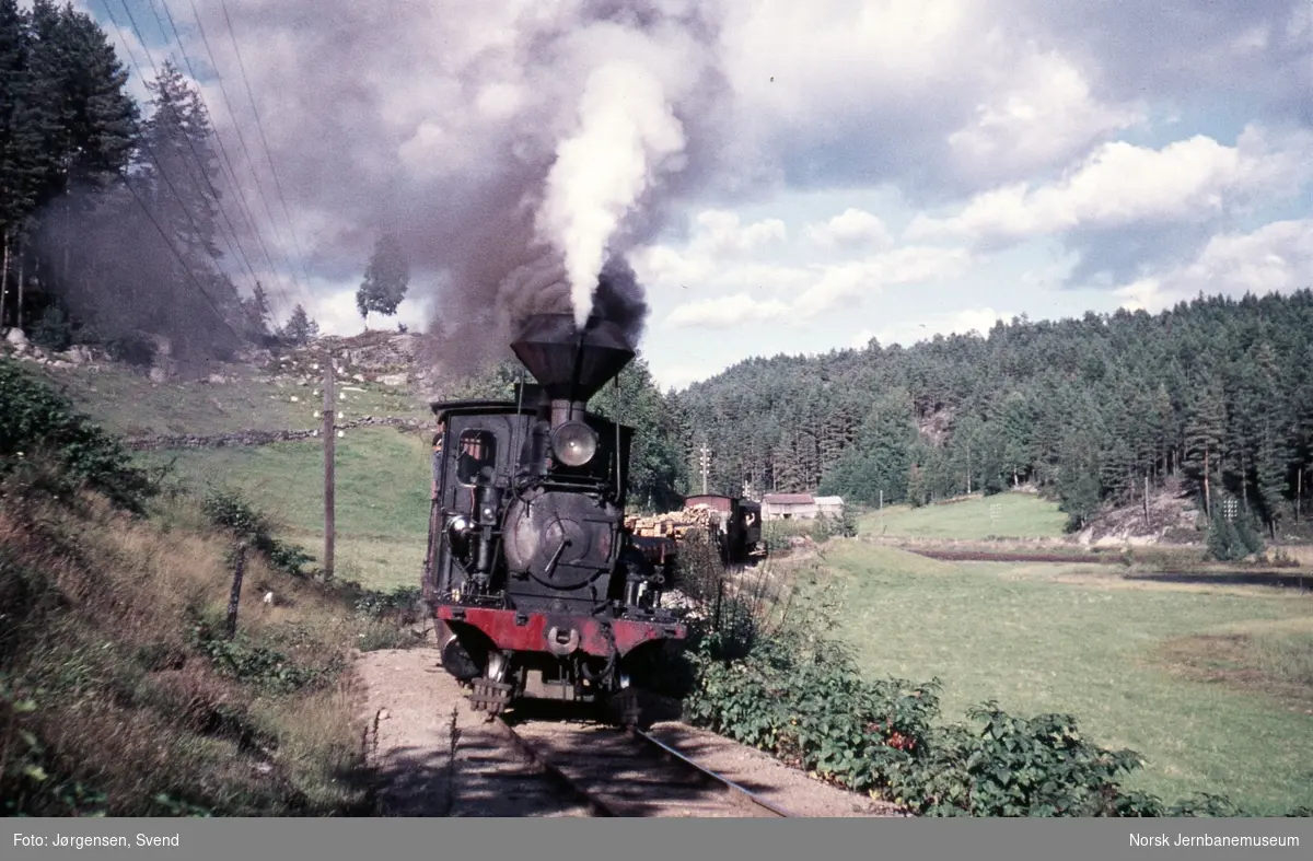 Godstog 5662, trukket av damplokomotiv nr. 2, ved Kiledalen holdeplass