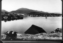 Panorama av havna på Innlandet, Kristiansund ca 1880.
Del av
