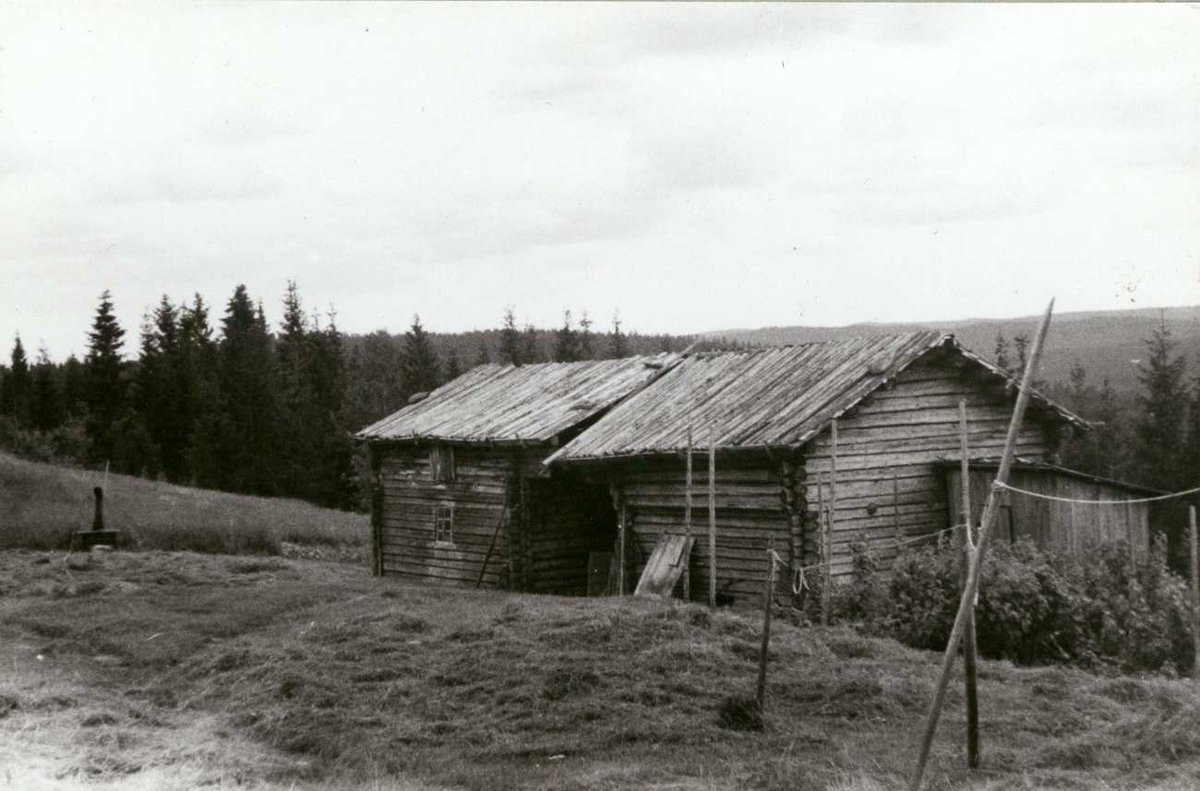 Tvengsberget, Grue, Solør, Hedmark. To uthus ved siden av hverandre.