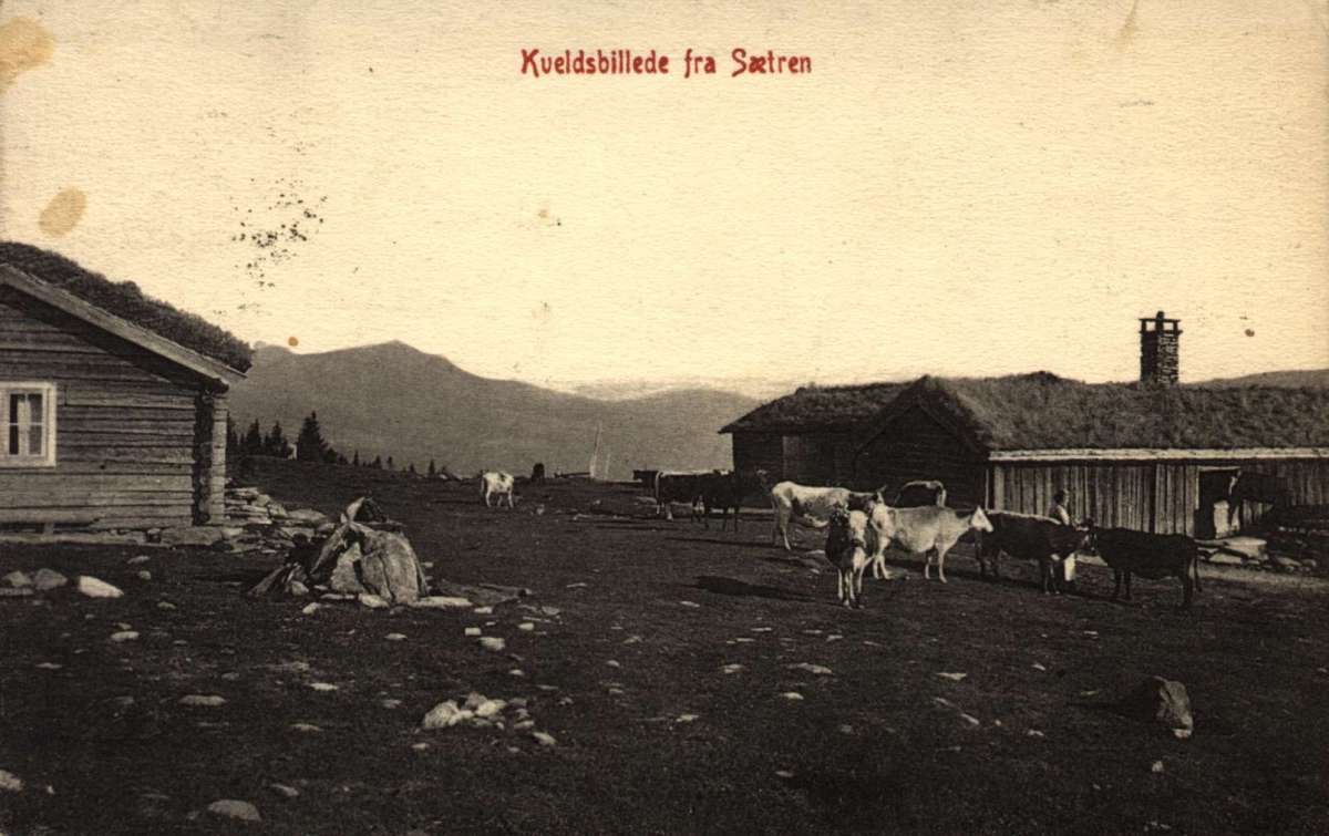 Postkort. Kveldsbilde fra en seter. Stemplet 30.10.1906.