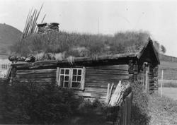 Bortistu Neby, Tynset, Hedmark 1952. Eldhus. Nå på Norsk Fol