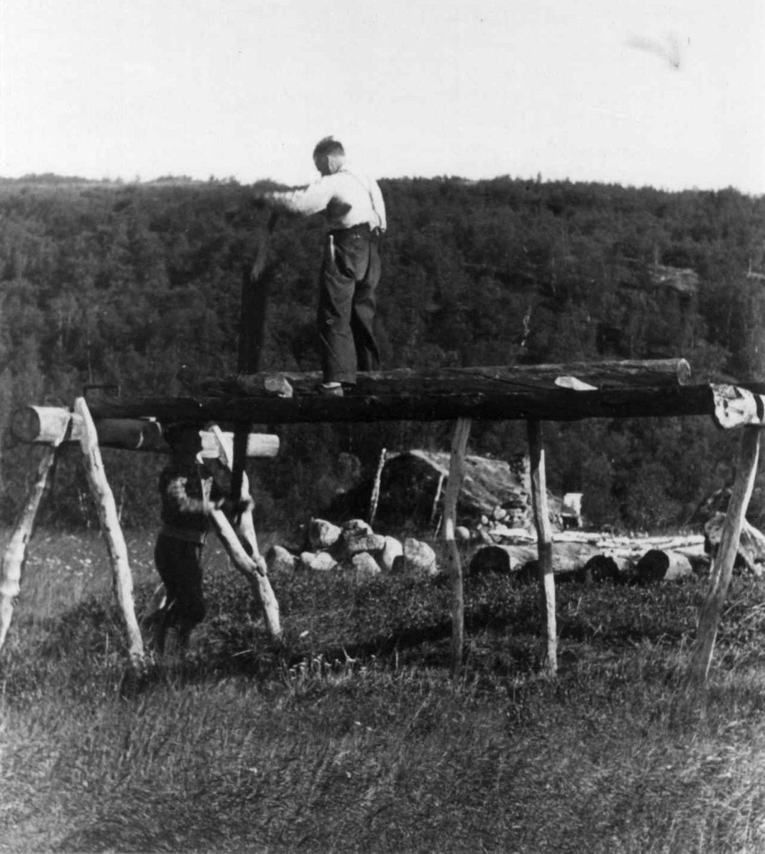 To menn sager en stokk på stativ. Nuorgam 1948.