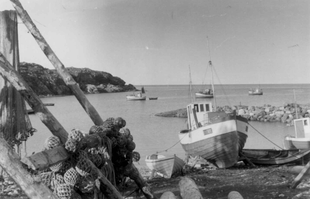 Havnen Andsnes i Loppa med fiskebåter og fiskegarn, 1953.
