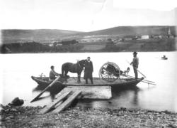 Fergetrafikk, robåt med to fergemenn frakter hest og kjøretø