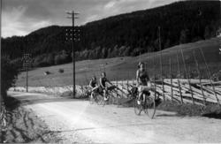 Kvinner på sykkeltur i Gudbrandsdalen. Vei. Skigard og elekt