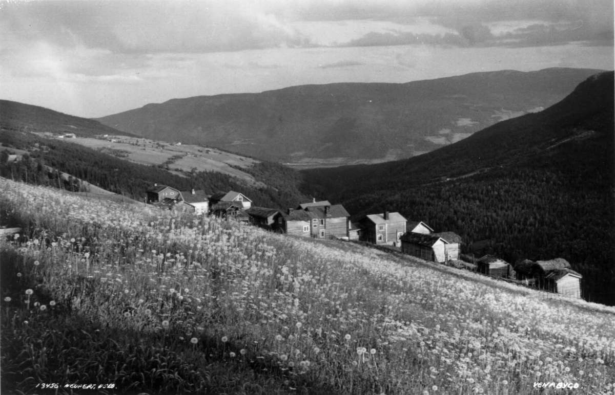 Venabygd, Sør-Fron 1935. Oersiktsbilde. Jordbruksbygd med gårdsanlegg. Tømmerhus. Omgitt av skog og åser.