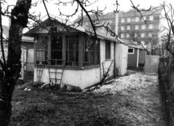Etterstad Kolonihage, Oslo 1981. Kolonihagehus med hage. Syd