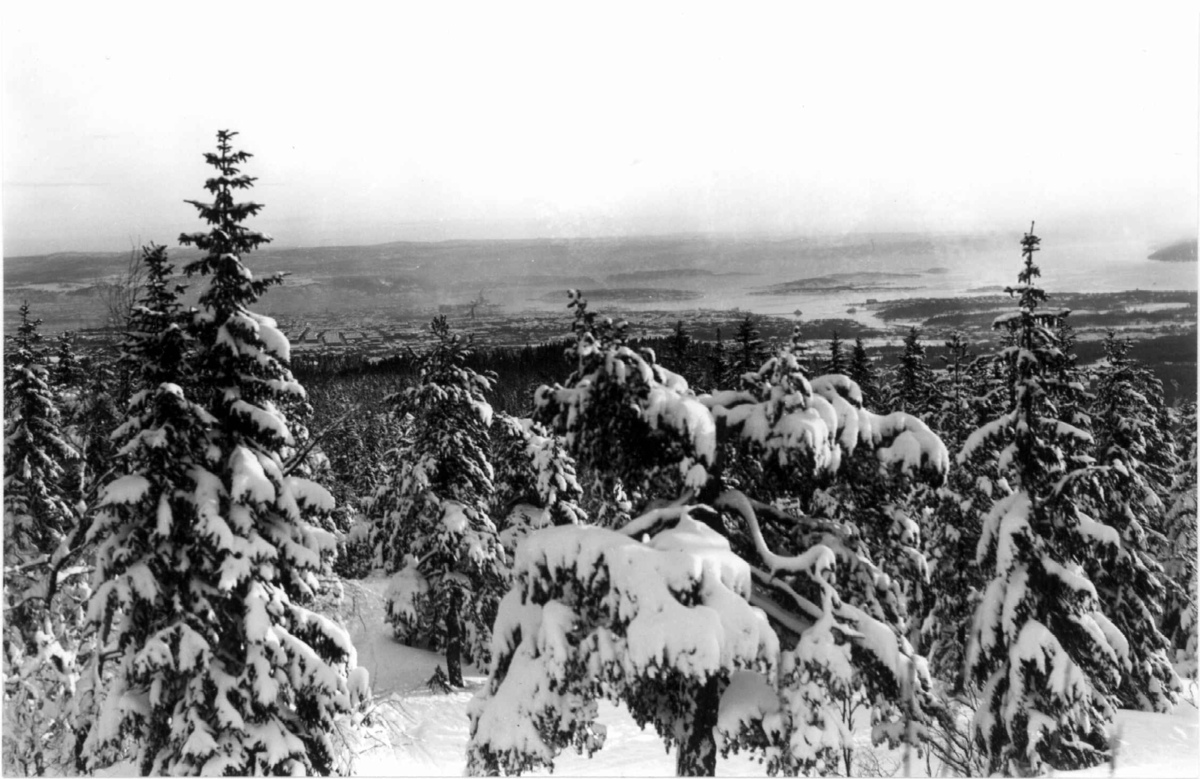 Utsikt fra Tryvannshøgda, Oslo 1936. Vinterbilde med snøtunge trær. I bakgrunnen ses Oslo sentrum og den indre delen av Oslofjorden.