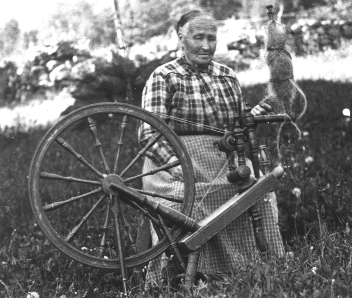 Randi Stenboeng spinner kutagl fra rokkehode til loddegarn. Oppdal, Sør-Trøndelag 1934.