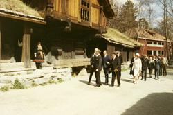 Islands president besøker NF 4/5 1971. Følget i Setesdaltune