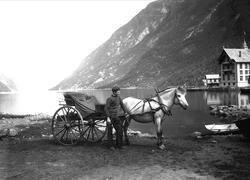 Odda i Hardanger. Gutt med hest og kjerre står foran Sørfjor