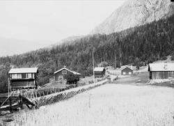 Kvisle, Numedal. Rollag, Buskerud, 1906. Gård med vei mellom