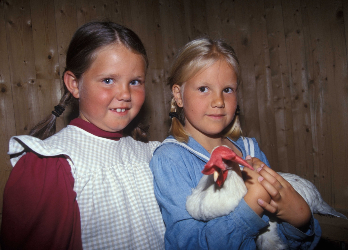 Barn i drakter i friluftsmuseet 2002.
På besøk i hønsegården.