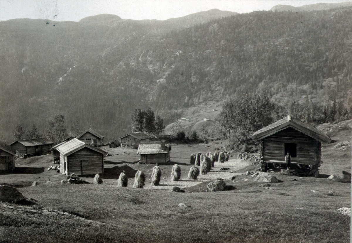 Gårdstun, Sneåsen, Tuddal, Hjartdal, Telemark. Fotografert 1908.