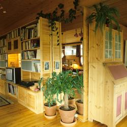 Fra stuen i typehus i Elverum, Hedmark. Illustrasjonsbilde f