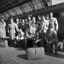 Serie. Sport. Friidrett. Bul hjem fra Sverige.
Fotografert 