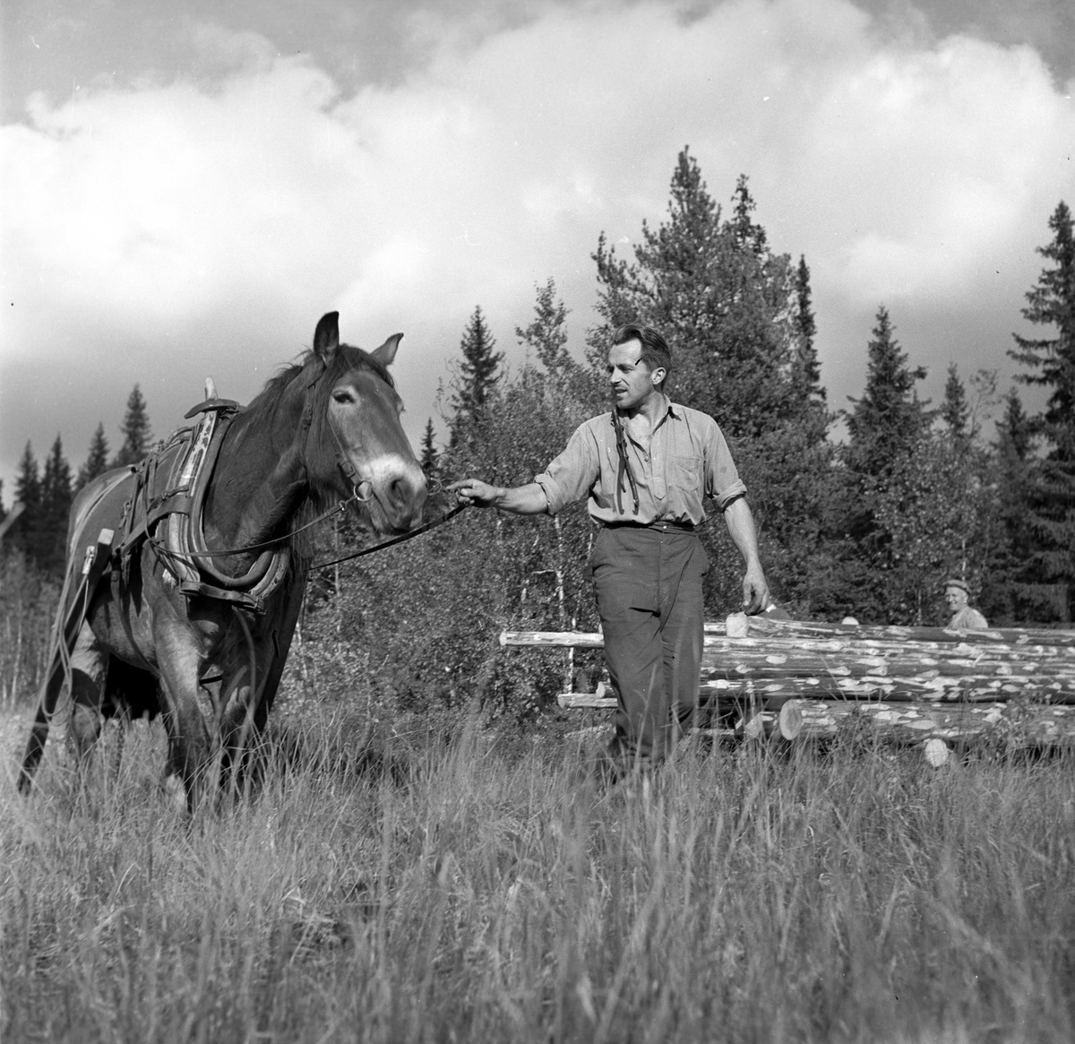 Serie. Skiløperen Halgeir Brenden konkurrerer og jobber som skogsarbeider. Fotografert 1955.