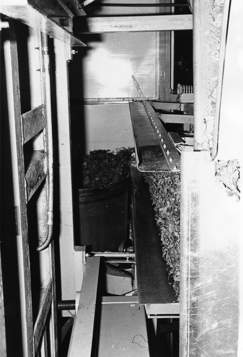 Foto tatt i løpet av en omvisning i J. L. Tiedemanns Tobaksfabriks nye anlegg på Hovin i 1969 i forbindelse med innvielsen av fabrikken.