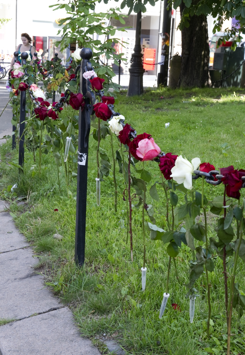 Ved Oslo domkirke. Blomster og kondolanser lagt ned i Oslo sentrum i forbindelse med ettårsdagen for terrorhandlingene i Oslo og på Utøya.