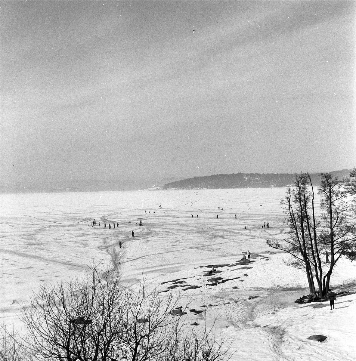 Isfiske i Oslofjorden, Oslo, april 1956.