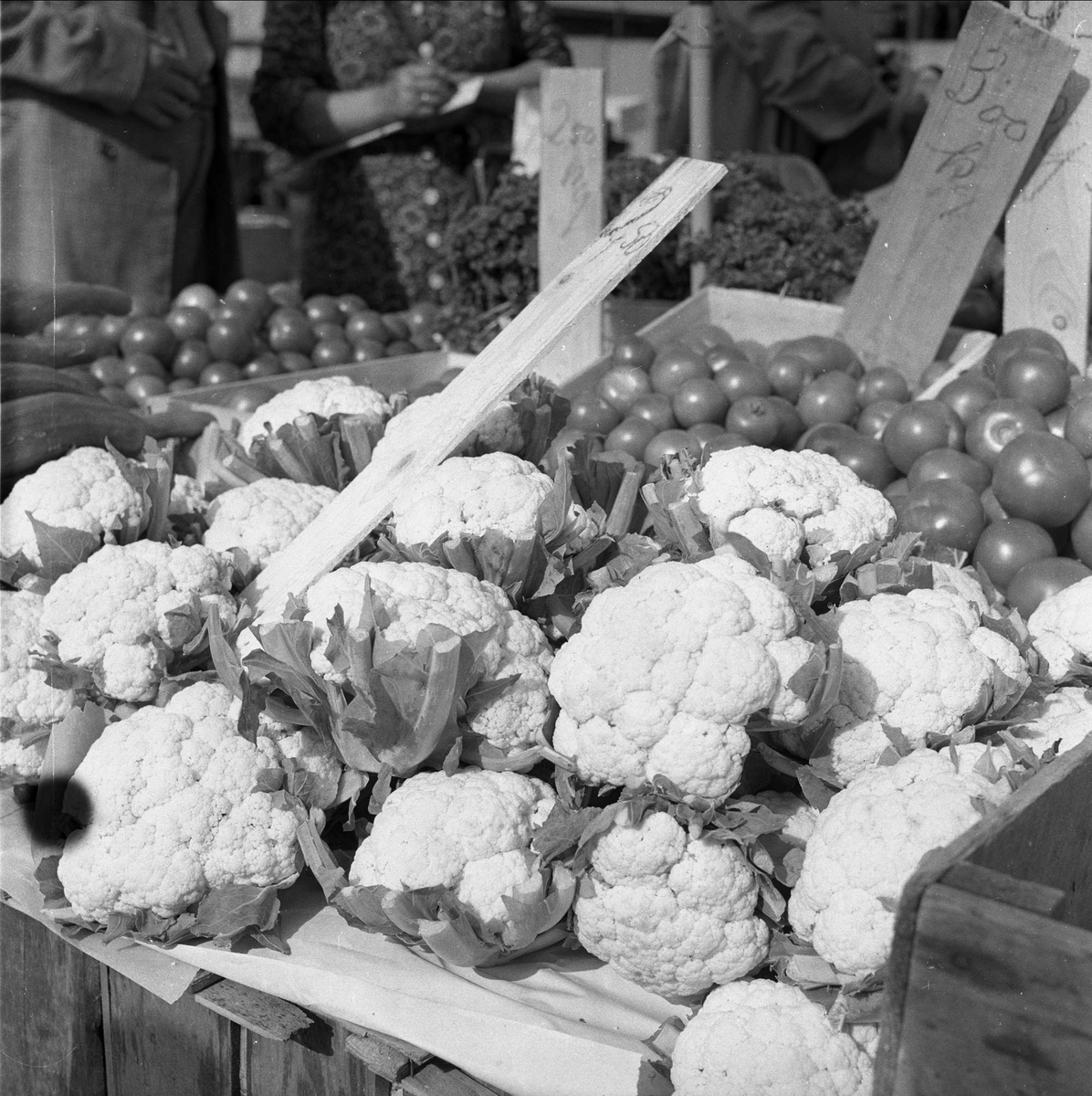 Torghandel,  kasser med frukt og grønnsaker, Oslo, 12.08.1958