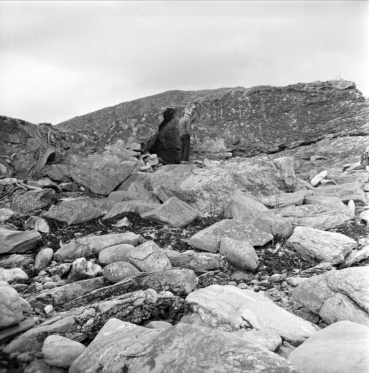 Poståpner Silden på Silda, langs strand. Vågsøy mars 1963.