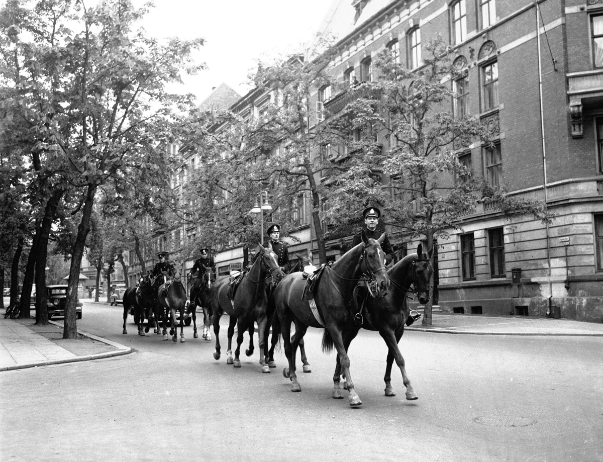 Prinsessebryllup Oslo 15.05.1953. Ryttere i bygate.