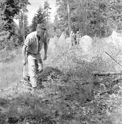 Skjeberg, Østfold. Fortidsminner. Rydding av kratt.