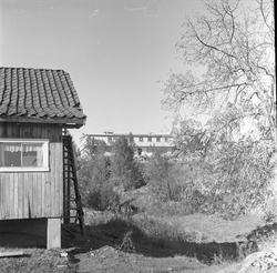 Vangen, Enebakk, Akershus, 01.10.1960. Skiforeningens sports