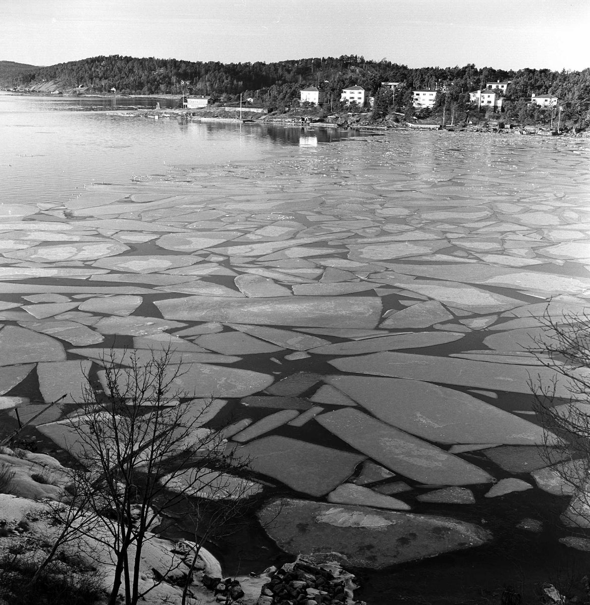 Bekkelaget, Oslo, januar 1964. Is på fjorden. Landskap med bebyggelse.