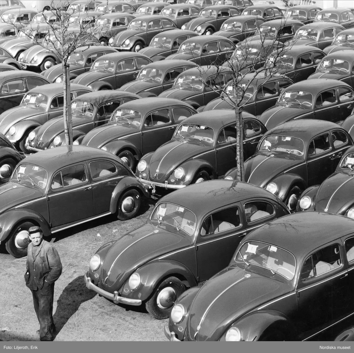 Importerade Volkswagen i Malmö hamn