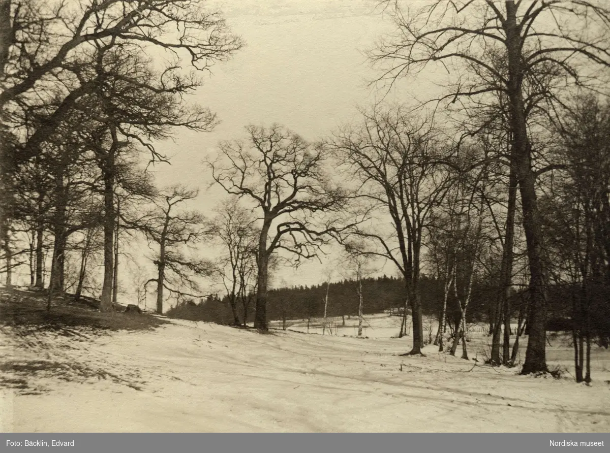 Vinterlandskap vid Stora Skuggan. 1899