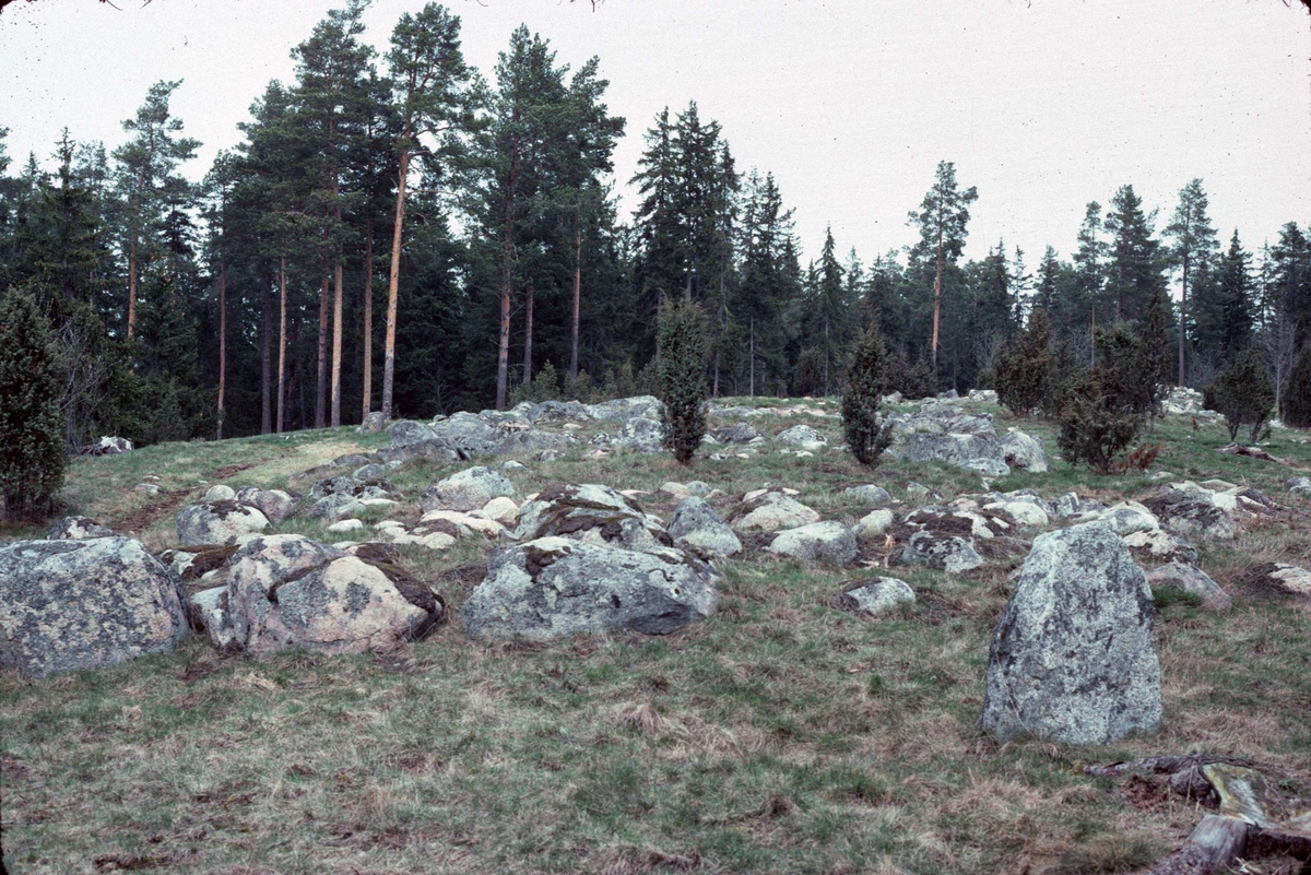 Äsåsen med gravfält, Härnevi socken, Uppland 1979