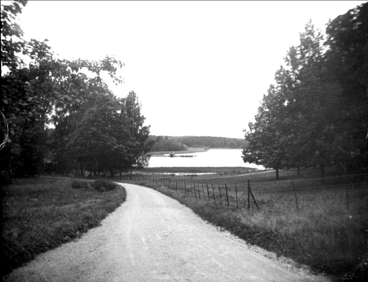Väg vid Ekolsundsviken i Löts socken, Uppland, september 1925