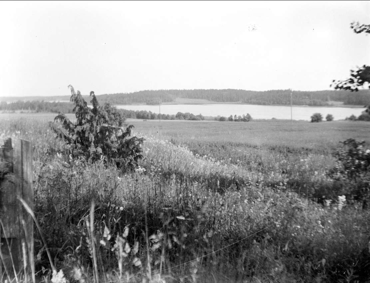 Landskapsvy med sjön Ösmaren i Roslags-Bro socken, Uppland i juli 1927